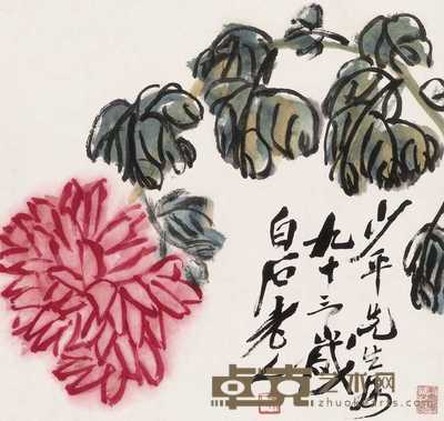 齐白石 红菊 镜心 30×32cm